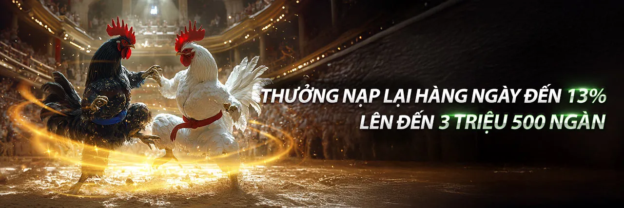 Đá gà trực tiếp HD từ Thomo tại full88 hiện đang mở